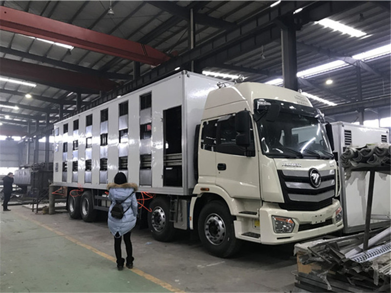 Futian Ouman front-four-rear-eight livestock transport vehicle in Deutsch