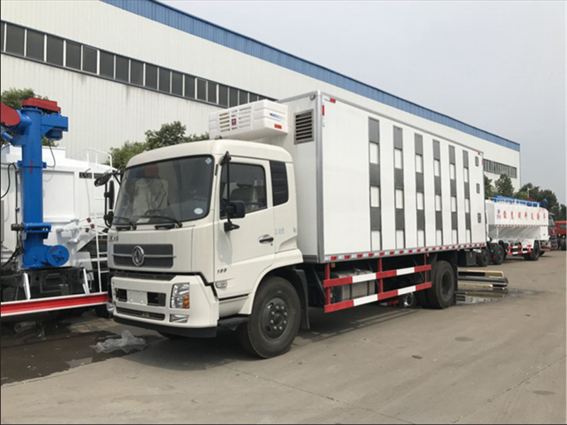 Dongfeng Tianjin Viehtransportfahrzeug